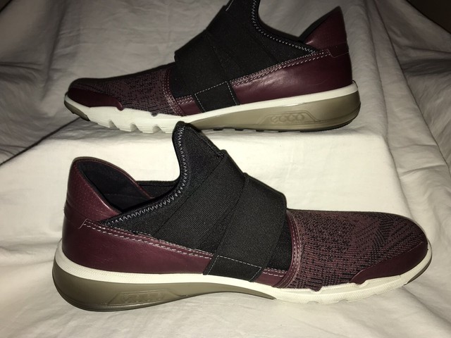 ecco intrinsic 2 silver