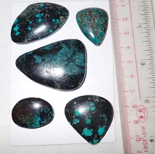Turquoise Stone Flat Free Form Cabochon 200.5 Carat 5 pieces 40.1 gram
