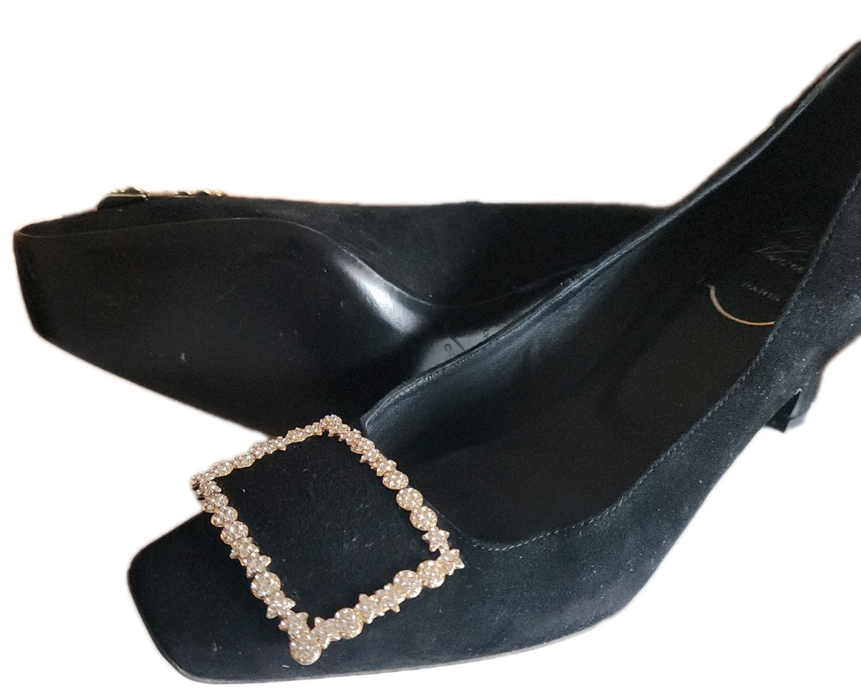 Roger Vivier Women's Sued Pumps Shoes image 2