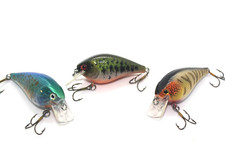 1.5 SquareBill Trio