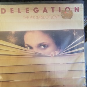 Delegation the Promise of Love | eBay