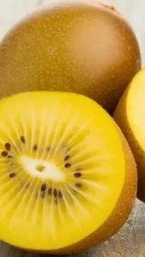 Pianta di Kiwi Giallo Arnold Autofertile in Vaso da 15 cm