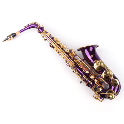 Karl Glaser Alt Saxophon in Show Violett, mit Koffer, Mundstück und Blättchen
