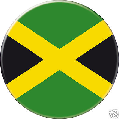 IRLANDE IRELAND ST PATRICK DRAPEAU FLAG PAYS COUNTRY Ø25MM PIN BADGE BUTTON