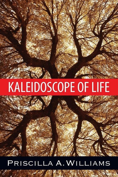 Priscilla A Williams | Kaleidoscope Of Life | Taschenbuch | Englisch (2015)-image