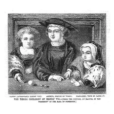 ROYALTY The Children of Henry VII - Antique Print 1857