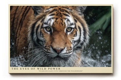 Paul Sinus Wandbild The Eyes of Wild Power Ausdrucksstarkes Porträt eines