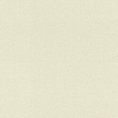 Rasch Textil Tapete Vlies Abaca 229249 Beige Creme Struktur Uni