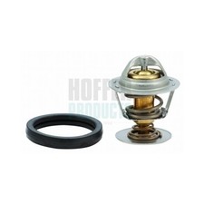 Thermostat Citroen C6