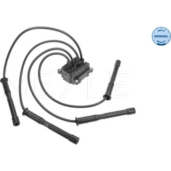 Meyle 16-14 885 0004 ZüNdspule FüR Renault Dacia Logan Sandero Clio Thalia LS-image