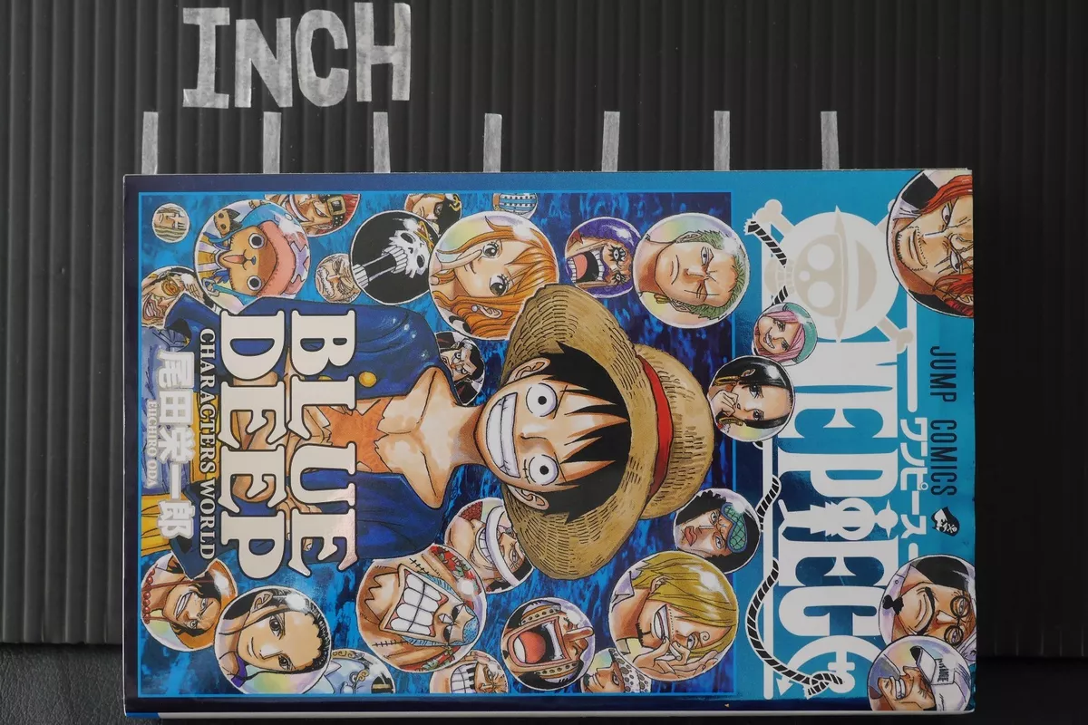 How does the world of 'One Piece' anime look like geographically