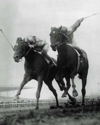 1957 Champion Racehorses BOLD RULER vs GALLANT MAN Glossy 8x10 Photo ...