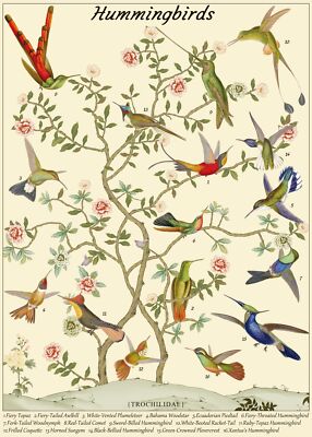 Vintage Bird Puzzle for Adult Hummingbird Puzzle 1000 Piece Vintage Flower Jig