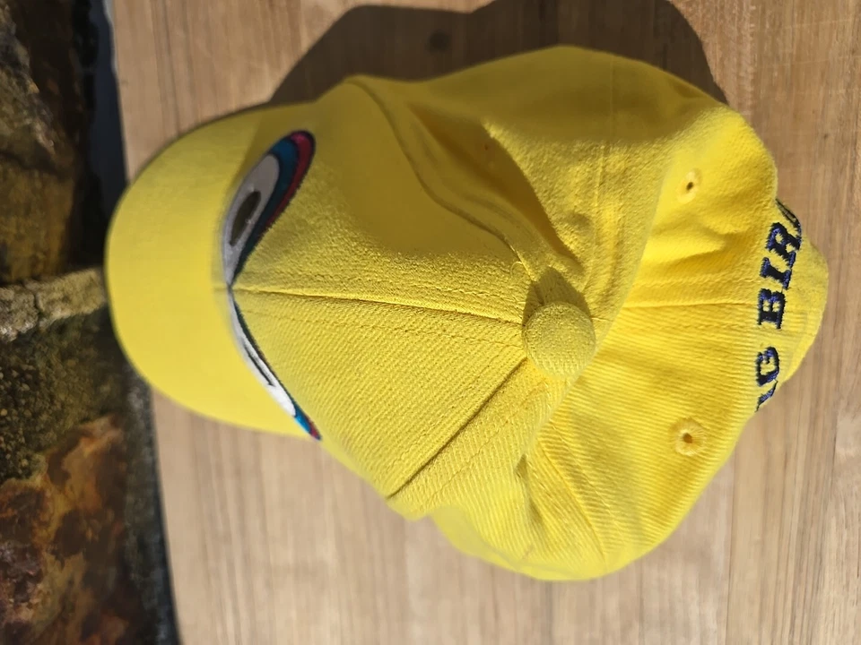 Sombrero Big Bird vintage Foto 3 de 4