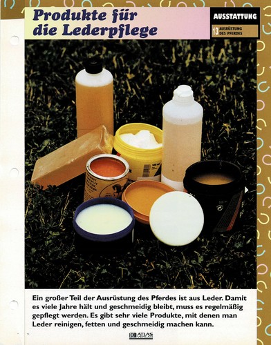 The Horse's Equipment (8) - Info Cards - Picture 4 of 5