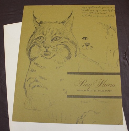 OVENBIRD Art Print by RAY HARM Signed Unframed Complete in original folder - Picture 5 of 8