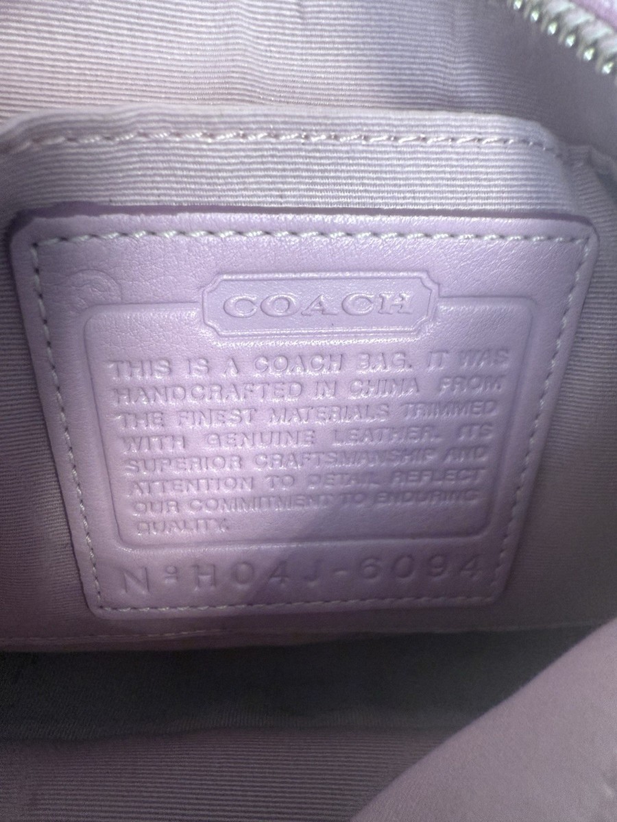 Coach Y2K Pink Signature Demi Accessory Pouch Shoulder Bag | eBay