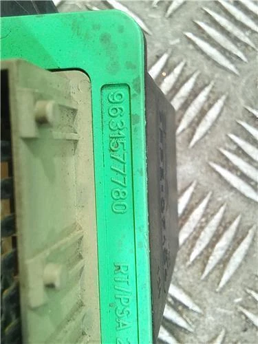 9631577780 Modulo Peugeot Partner Combispace (5F) 1.9 D Wjz (Dw8) - Immagine 4 di 4