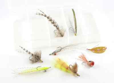 Rainy's Signature Redfish/Seatrout Fly Collection 8Pcs with plastic divider box