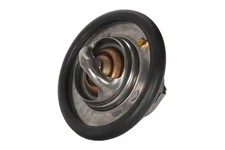 Thermostat Rover 111