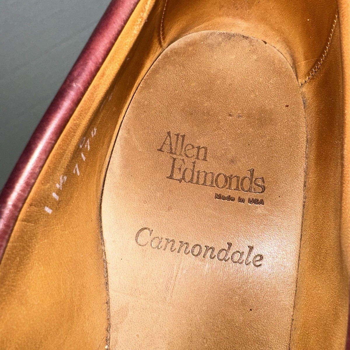 Allen Edmonds Cannondale Burgundy Leather Tassel Loafers 