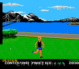 California Games - NES Nintendo Classic Game