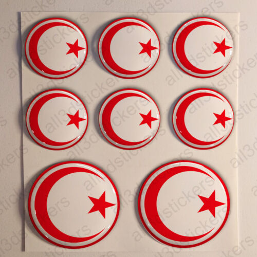 Autocollants de l'armée de l'air tunisienne rondelle cockade drapeau 3D dôme en résine - Photo 1/1