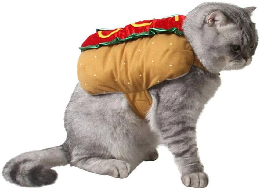 Are hot dogs clearance good for cats
