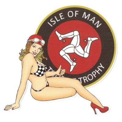 TT right pin up right vinyl sticker laminated