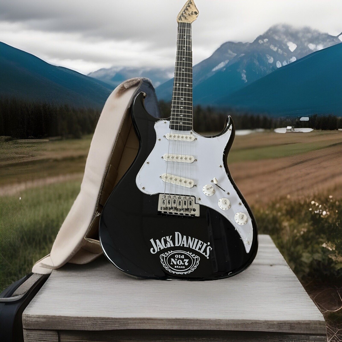 『 Shinyaさん専用 』Jack Daniel's Jack Daniel's Electric Guitar | eBay