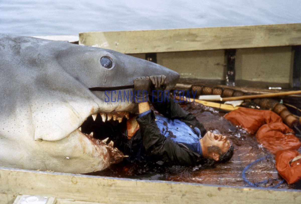 JAWS GREAT PHOTO OF ROBERT SHAW AS QUINT DEVOURED BY SHARK