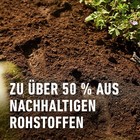 Bild 7 von 9