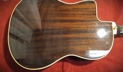 Eko Guitars NXT Nylon N100ce Natural amplificata - Foto 5 di 11