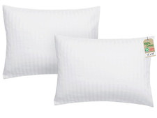 Toddler Pillow with Pillowcase 2 Pack - 13X18 Organic Cotton Hypoallergenic Kids
