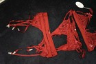 RSLove red 5 piece set lace xxl bra, panties and garters nwt — photo 4