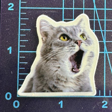 Noticias impactantes - ¡Gato chisme! Vinilo Adhesivo Calcomanía Adhesivo Bomba Declaración No Way