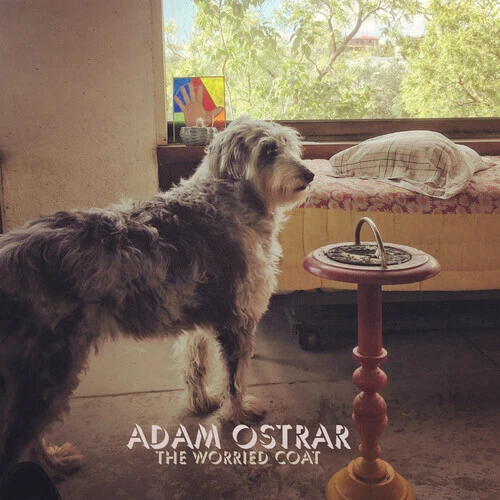 UNDERCOVER Adam Ostrar The Worried Coat [New Vinyl LP]