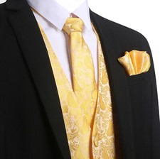 Men's Paisley Waistcoat Vest + Tie + Pocket Square Handkerchief Set Wedding