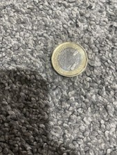 Rare 2023 king Charles Collectible £1 Bumble Bee Coin Collectors Coin