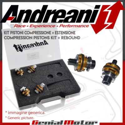 Andreani Pump Pistons Compression + Extension Triumph Tiger 1050 2008 08