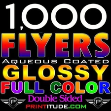 1000 CUSTOM PRO PRINTING FLYERS 8.5"X11" FULL COLOR 2 SIDED 100LB GLOSSY 8.5X11
