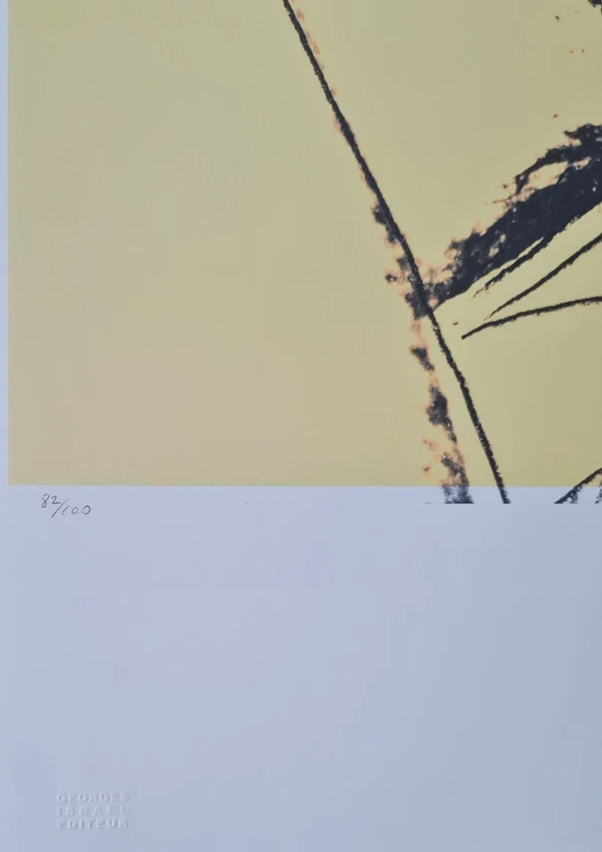 ANDY WARHOL * Sex Parts * signed lithograph * Kunstdruck * limited # 82/100 - Bild 4 von 4