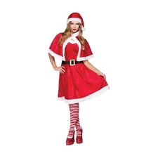 Wicked Costumes - Little Miss Santa Costume - Women