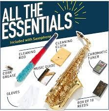 #ad #ad Mendini By Cecilio Eb Alto Saxophone Case Tuner Mouthpiece10 Reeds E $186.99