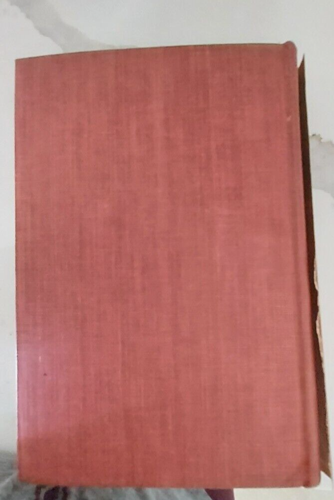 Picture 4 of 19