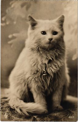 CPA AK CATS (1340529)