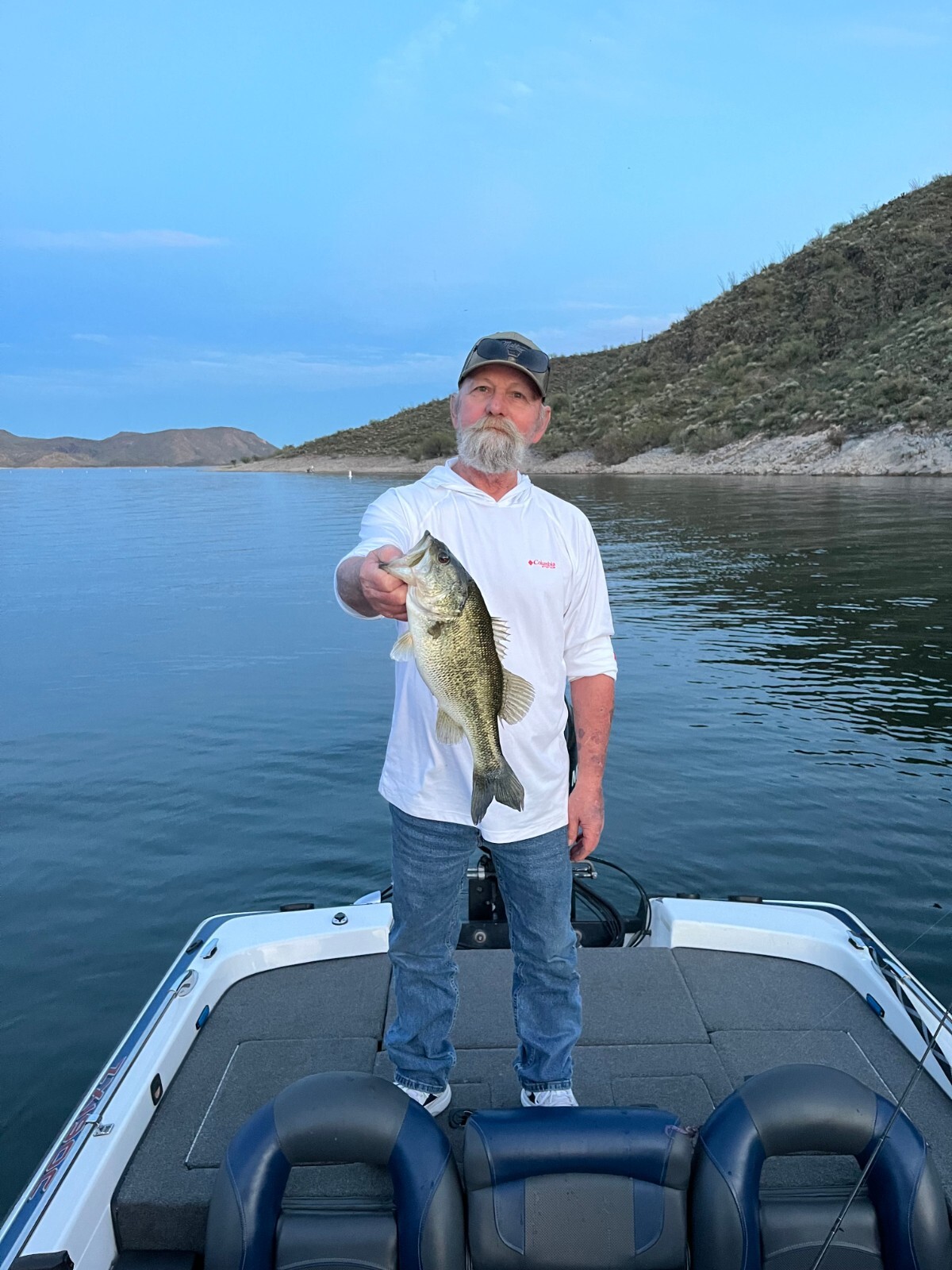 6 Custom Hand Poured Soft Plastic Swimbaits 5"  Halogram Shad - Image 2