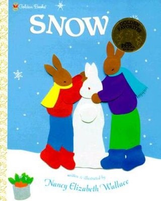 Snow (Family Storytime) - Hardcover By Wallace, Nancy E - GOOD