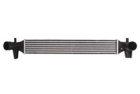 Thermotec DAA006TT LadeluftküHler FüR Audi, Seat, Skoda, Vw