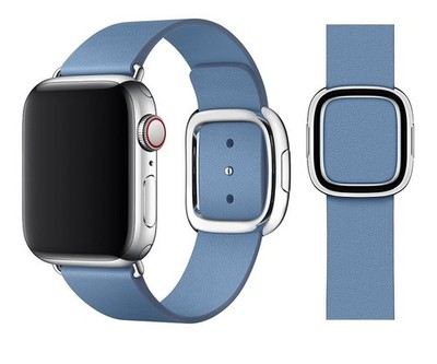 Original Apple Modern Buckle Armband Größe L 38/40/41mm Cornflower Sehr Gut